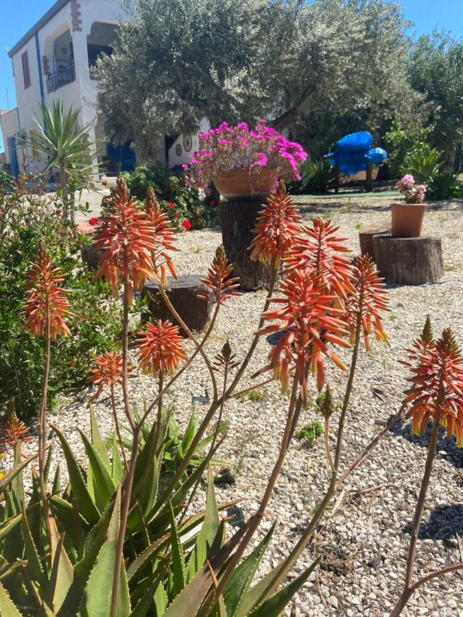 La Casa Di Gioggio Διαμέρισμα Ioppolo Giancaxio Εξωτερικό φωτογραφία