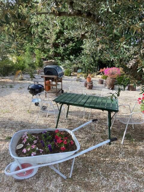 La Casa Di Gioggio Διαμέρισμα Ioppolo Giancaxio Εξωτερικό φωτογραφία