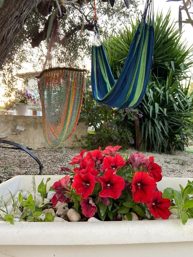 La Casa Di Gioggio Διαμέρισμα Ioppolo Giancaxio Εξωτερικό φωτογραφία